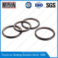 Pti Type Hydraulic Cylinder Rod Dust Double Wiper Seal Ring